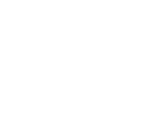 whipstir logo